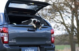Isuzu D-Max with dog, 2025